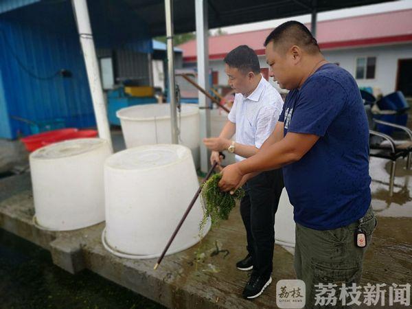漁村小農民的成長之路，從田野到未來的勵志之旅