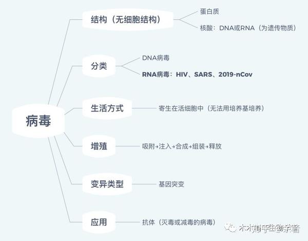 最新病毒總結(jié)報告，全面梳理與分析病毒動態(tài)