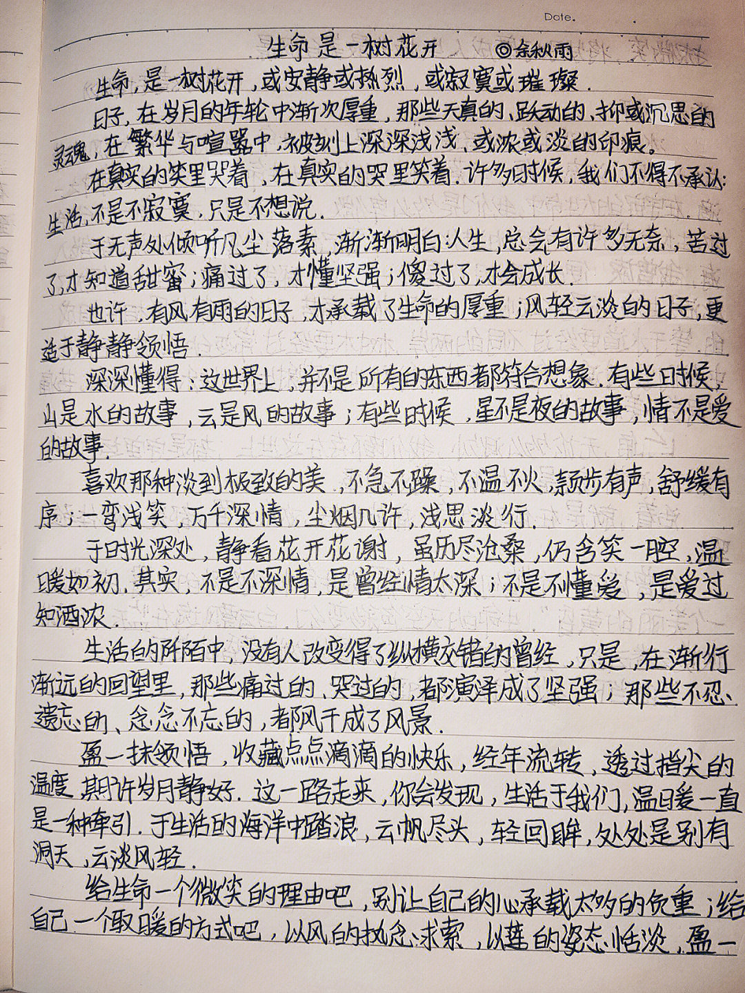 心靈深處的詩意邂逅，最新美文摘抄精選