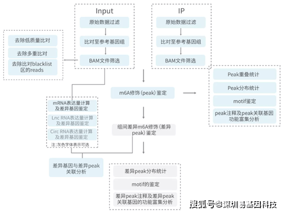 新奧內(nèi)部最準資料,機制評估方案_輕奢版22.114