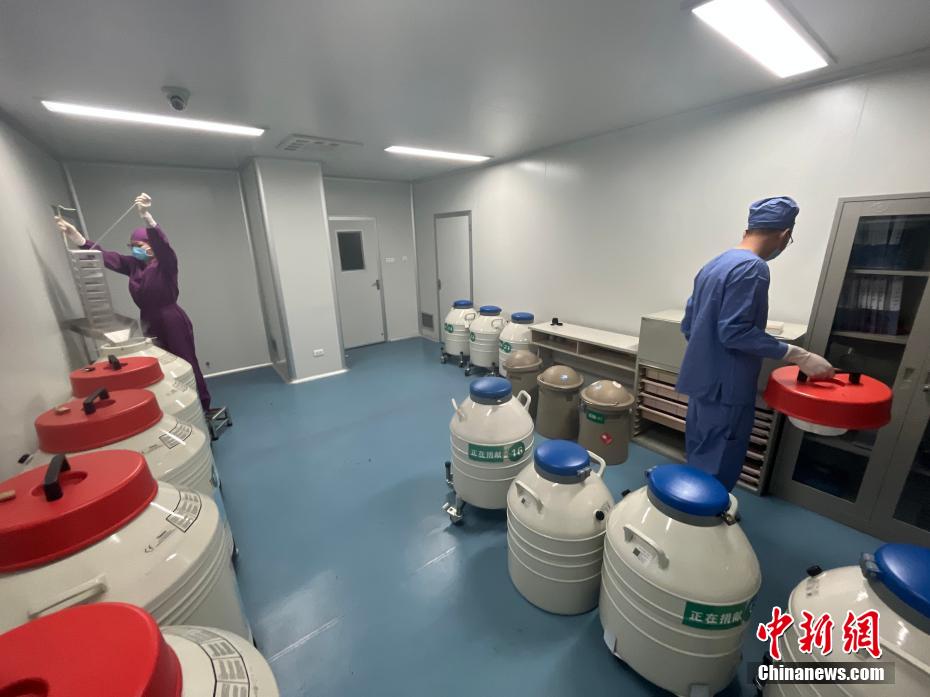 精子庫最新網,精子庫最新網，小巷深處的獨特魅力