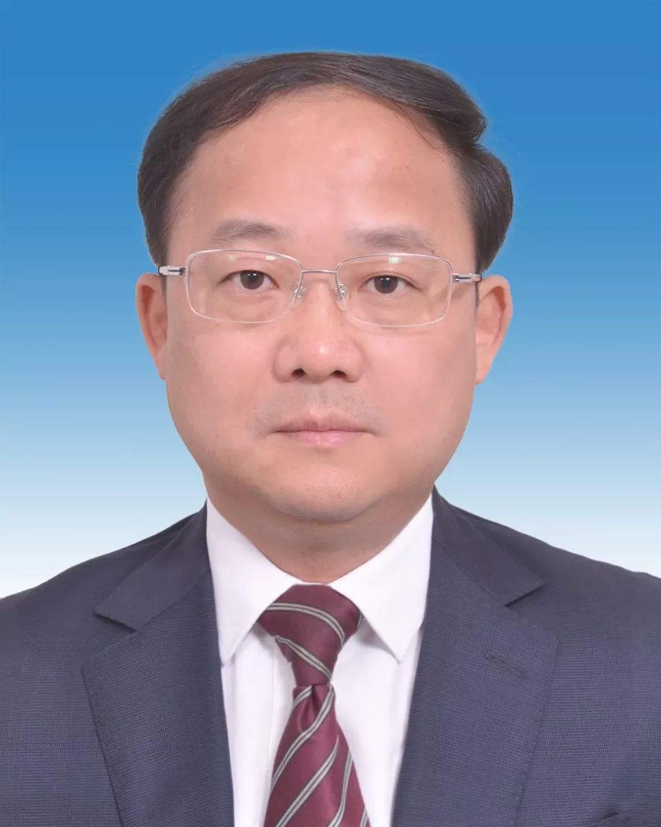 楚科緯的新職務揭秘，科技小達人的日常與情感紐帶探索