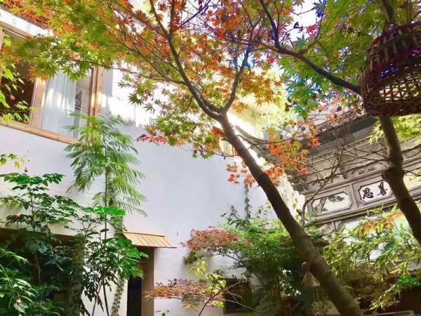 最新一木攻略深度解析，觀點(diǎn)與策略探討