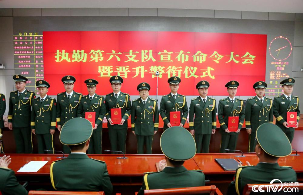 最新軍隊改革動態(tài)揭秘，綠色軍魂與小巷深處的特色小店探訪