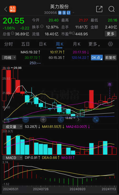 英力股票深度解析，挖掘投資價(jià)值