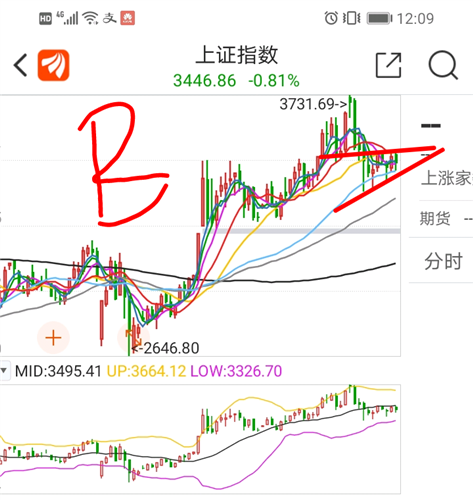 狐貍行情走勢探索之旅，自然美景中的奧秘與機(jī)遇