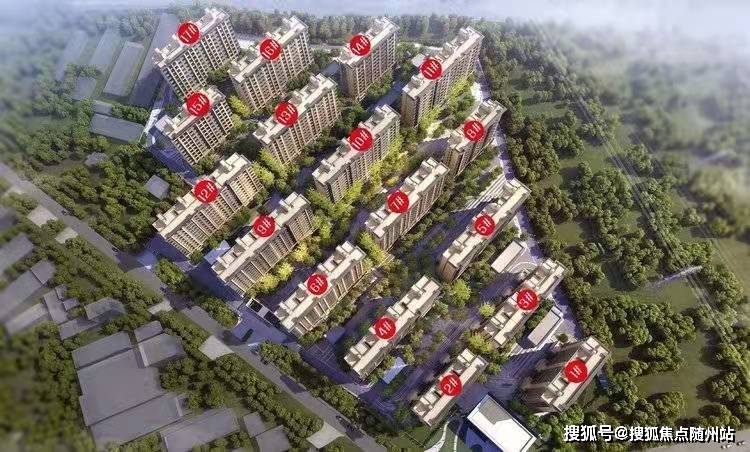 揭陽桑拿論壇最新動態(tài)揭秘
