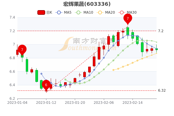 宏輝果蔬股價(jià)最新預(yù)測(cè)與小巷美食探秘揭秘