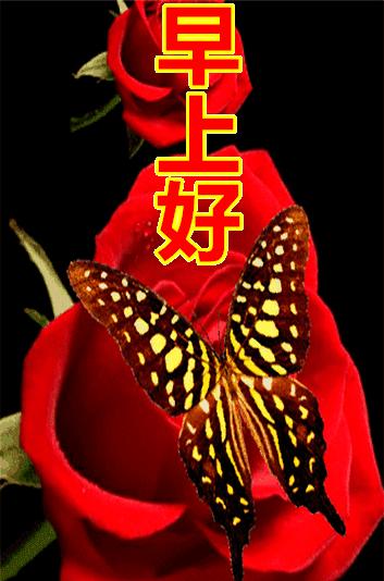 擁抱最新自我，自信閃耀在變化中